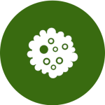 Icon of a cluster of cells in a dark green circle.