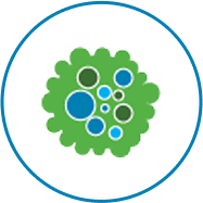 Icon with green cell with multiple blue dots in a blue circle representing the variance of cancer cells within a single tumor.