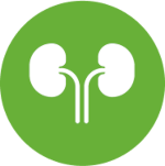 Icon of two kidneys connected by ureters.